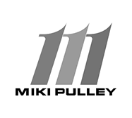 https://motionusa.com/storage/photos/shares/images/catalog/categories/MIKI-PULLEY.png